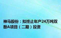 神马股份：拟终止年产24万吨双酚A项目（二期）投资