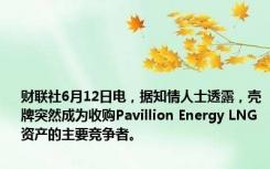 财联社6月12日电，据知情人士透露，壳牌突然成为收购Pavillion Energy LNG资产的主要竞争者。