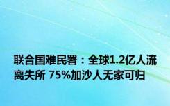 联合国难民署：全球1.2亿人流离失所 75%加沙人无家可归