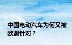 中国电动汽车为何又被欧盟针对？