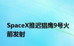 SpaceX推迟猎鹰9号火箭发射