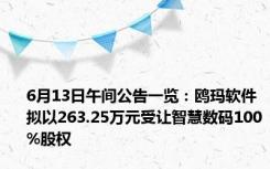 6月13日午间公告一览：鸥玛软件拟以263.25万元受让智慧数码100%股权