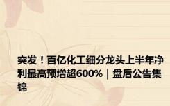 突发！百亿化工细分龙头上半年净利最高预增超600%｜盘后公告集锦