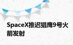 SpaceX推迟猎鹰9号火箭发射