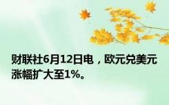 财联社6月12日电，欧元兑美元涨幅扩大至1%。