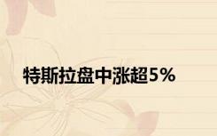 特斯拉盘中涨超5%