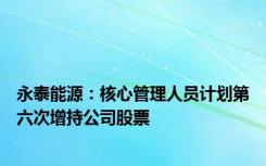 永泰能源：核心管理人员计划第六次增持公司股票