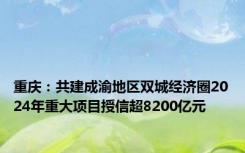 重庆：共建成渝地区双城经济圈2024年重大项目授信超8200亿元