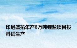 印尼盛拓年产6万吨锂盐项目投料试生产