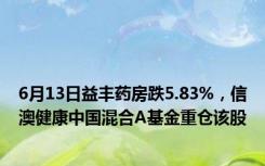 6月13日益丰药房跌5.83%，信澳健康中国混合A基金重仓该股