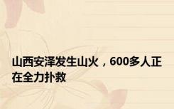 山西安泽发生山火，600多人正在全力扑救