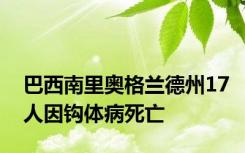 巴西南里奥格兰德州17人因钩体病死亡