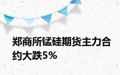 郑商所锰硅期货主力合约大跌5%