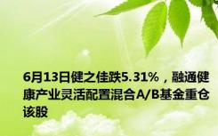 6月13日健之佳跌5.31%，融通健康产业灵活配置混合A/B基金重仓该股