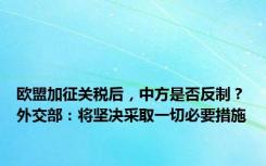 欧盟加征关税后，中方是否反制？外交部：将坚决采取一切必要措施