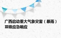 广西启动重大气象灾害（暴雨）Ⅲ级应急响应