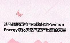 淡马锡据悉将与壳牌敲定Pavilion Energy液化天然气资产出售的交易