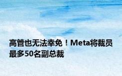 高管也无法幸免！Meta将裁员最多50名副总裁