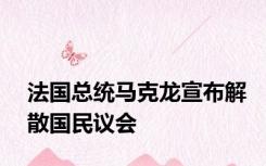 法国总统马克龙宣布解散国民议会