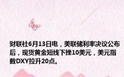 财联社6月13日电，美联储利率决议公布后，现货黄金短线下挫10美元，美元指数DXY拉升20点。