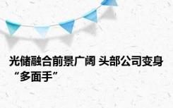 光储融合前景广阔 头部公司变身“多面手”