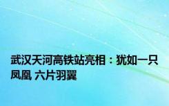 武汉天河高铁站亮相：犹如一只凤凰 六片羽翼