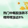 热门中概股涨跌不一 哔哩哔哩涨近8%