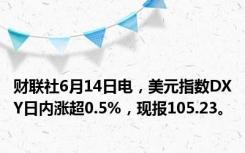 财联社6月14日电，美元指数DXY日内涨超0.5%，现报105.23。