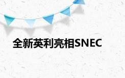 全新英利亮相SNEC