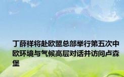 丁薛祥将赴欧盟总部举行第五次中欧环境与气候高层对话并访问卢森堡