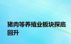 猪肉等养殖业板块探底回升