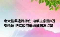 老太偷菜逃跑摔伤 向菜主索赔8万引热议 法院驳回诉求被网友点赞