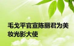 毛戈平官宣陈丽君为美妆光影大使