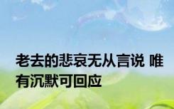 老去的悲哀无从言说 唯有沉默可回应