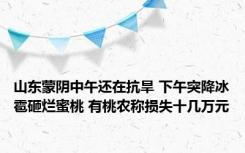 山东蒙阴中午还在抗旱 下午突降冰雹砸烂蜜桃 有桃农称损失十几万元