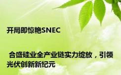 开局即惊艳SNEC | 合盛硅业全产业链实力绽放，引领光伏创新新纪元