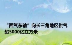 “西气东输”向长三角地区供气超5000亿立方米