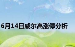 6月14日威尔高涨停分析