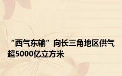 “西气东输”向长三角地区供气超5000亿立方米