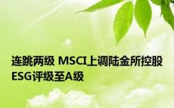 连跳两级 MSCI上调陆金所控股ESG评级至A级