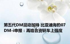 第五代DM混动加持 比亚迪海豹07DM-i申报：再给合资轿车上强度