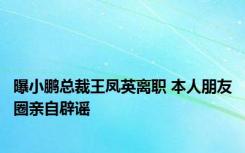 曝小鹏总裁王凤英离职 本人朋友圈亲自辟谣