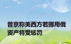 普京称美西方若挪用俄资产将受惩罚