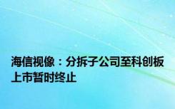 海信视像：分拆子公司至科创板上市暂时终止