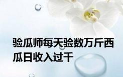 验瓜师每天验数万斤西瓜日收入过千