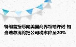 特朗普据悉向美国商界领袖许诺 如当选总统将把公司税率降至20%