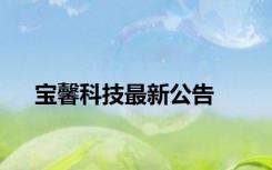 宝馨科技最新公告