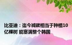 比亚迪：迄今减碳相当于种植10亿棵树 能塞满整个韩国