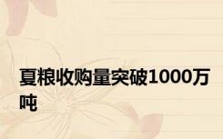 夏粮收购量突破1000万吨