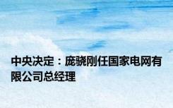 中央决定：庞骁刚任国家电网有限公司总经理